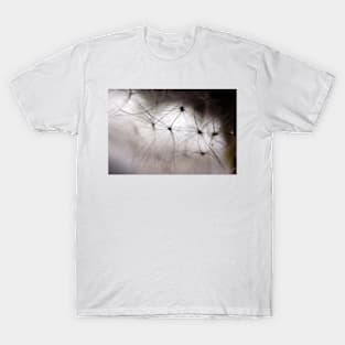 Dandelion Whisper T-Shirt